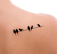 three birds sitting on a wire and one bird is perched on the other side of the body