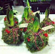 three potted plants that have been decorated with red berries and green grass on them