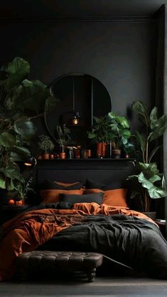 a bedroom with black walls and lots of greenery in the corner, including potted plants