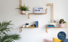 three shelves with plants and books on them against a white wall in a living room