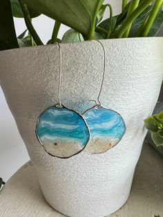 two blue and white earrings sitting on top of a potted plant