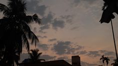 the silhouette of palm trees and buildings against a cloudy sky at sunset or dawn with clouds in the distance