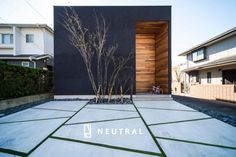 an empty courtyard with grass and plants in front of the entrance to a modern home