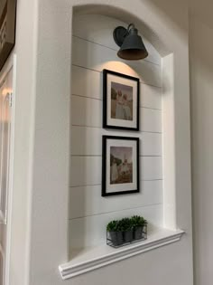 three framed pictures hang on the wall above a shelf with two potted plants in it