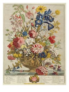 an antique print of flowers in a vase