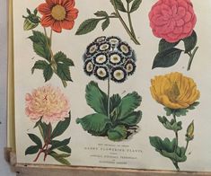 an old book with flowers and leaves on it