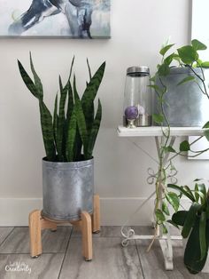 a potted plant sitting on top of a wooden stand next to a wall mounted painting