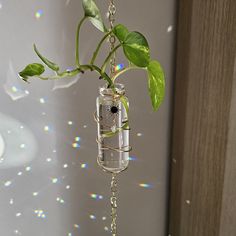 a glass jar hanging from a chain with a plant in it's center and water inside