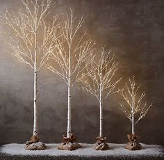 four white trees with snow on them in front of a dark wall and black background