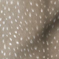 an animal print fabric with white spots on it's back and the top half of its