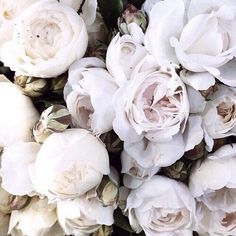 a bunch of white flowers that are in the middle of some kind of flower arrangement