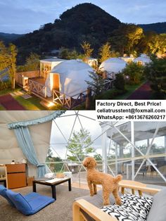 Luxury interior dome tent bubble house for Malaysia glamping business.