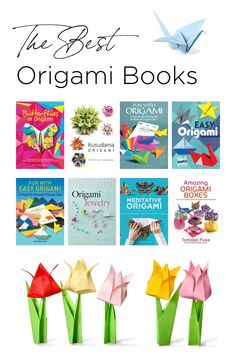 the best origami books for kids and adults to make them look like they're