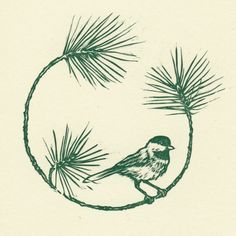 a drawing of a bird sitting on top of a pine tree branch in a circle