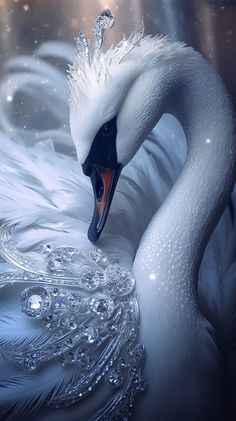 a white swan with feathers on it's back