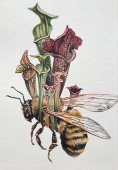 a drawing of a bee with flowers on it's back