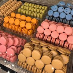 there are many different types of macaroons on display