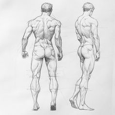 the back and side view of a man's body