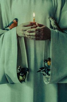 a person holding a lit candle in their hands with birds on it's sleeves