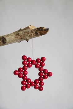 a red bead hanging from a tree branch on a string with a piece of wood in the background