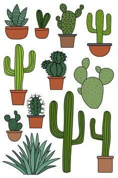 cactuses and succulents are arranged in pots on a white background illustration