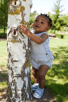 a baby climbing up the side of a tree