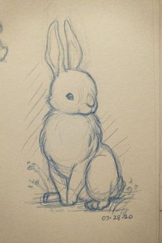 a drawing of a rabbit sitting in the rain with its head turned to the side