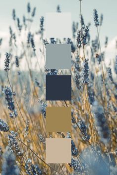 the color scheme is blue, brown, and white in this photo with lavenders