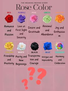 the meaning behind every rose color