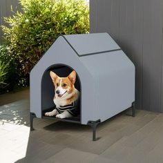 a dog is sitting in its kennel outside