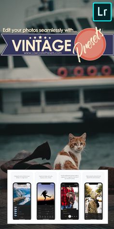 a cat sitting on top of a wooden table next to a boat in the water