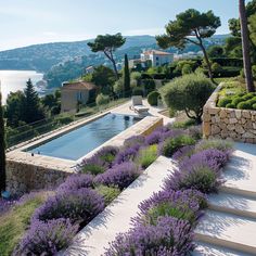 an outdoor swimming pool surrounded by lavender bushes and trees with the sea in the background