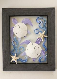 a shadow box with sea shells and starfishs in the bottom, on a wall