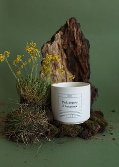 a white candle sitting on top of a moss covered ground next to a tree stump