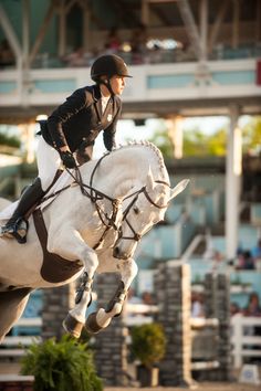 a person riding on the back of a white horse