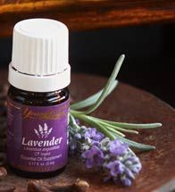 30 Ways To Use Lavender Essential Oil. Lavender essential oil is one of the most versatile essential oil to have on hand. Therapeutic Lavender oil is known to promote tissue regeneration and speed wound healing. Uses For Lavender, Her Book, Homemade Remedies, Oil Uses, Diy Health, Essential Oil Uses, Wound Healing, My Good