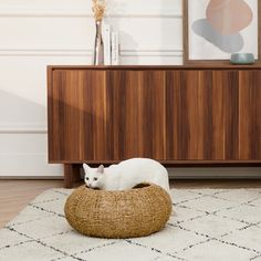 a white cat laying on top of a bed in the middle of a living room