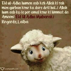 an image of a sheep with the words eid al - adha written on it