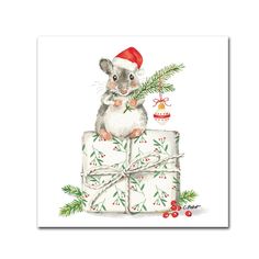 a christmas card with a mouse sitting on top of presents and holding a tree branch