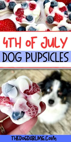 the fourth of july dog puppies are made with fresh berries and meringue