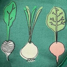 three different types of vegetables on a green background