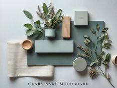 clay sage mood board with various items on it