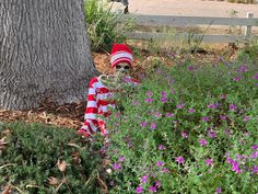 a cat in the hat is hiding behind some purple flowers and a tree with its mouth open