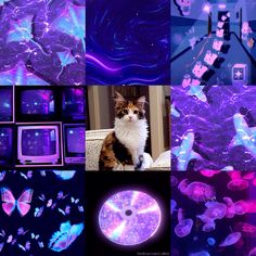 a collage of images with purple, blue and pink lights in the shape of butterflies