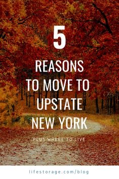 fall trees with the words 5 reasons to move to up state new york plus where to live