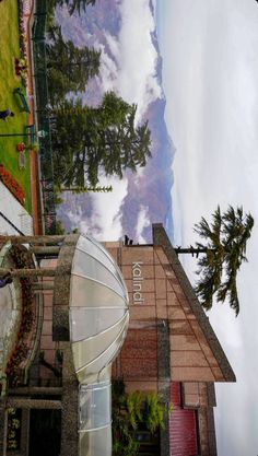 the reflection of a building and some trees