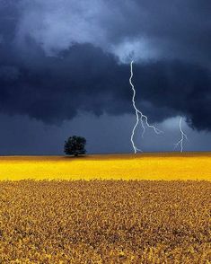 a large field with a lone tree in the middle of it under a stormy sky