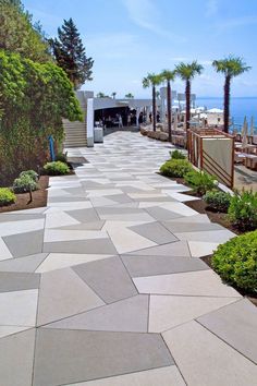 the walkway is lined with plants and trees