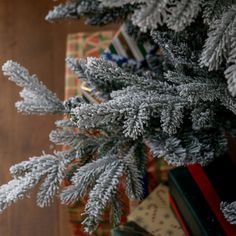 a close up of a christmas tree with presents under it