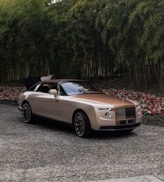 a rolls royce parked in front of a bamboo tree